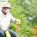 How to Effectively Manage and Control Pests with Insecticides