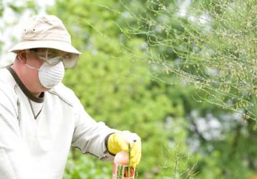 How to Effectively Manage and Control Pests with Insecticides